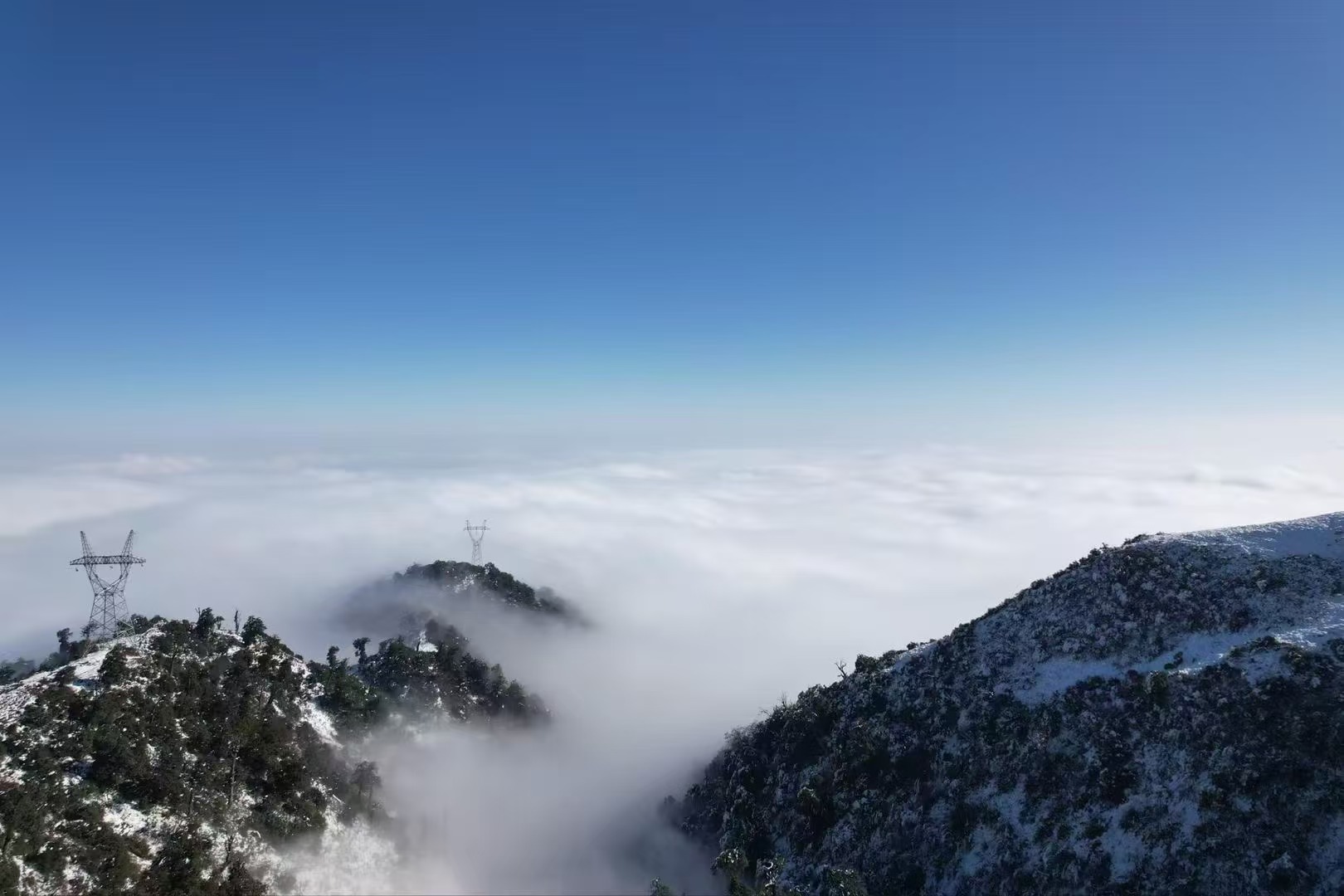 1735634331411582.jpg
